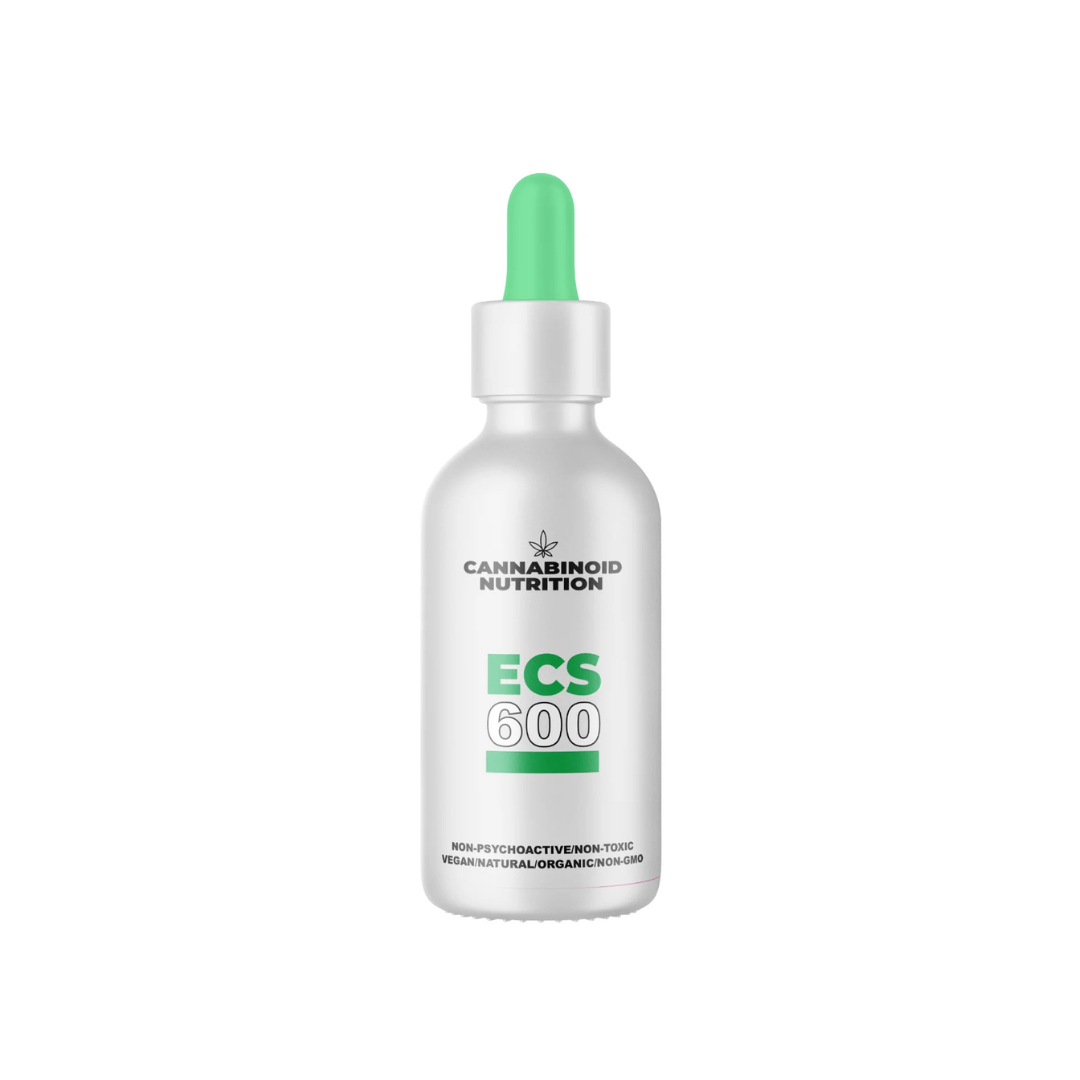 ECS 600